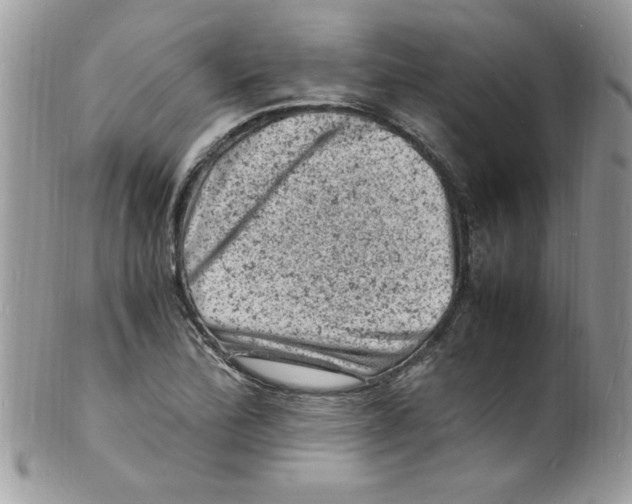 X0000098161172200805151222