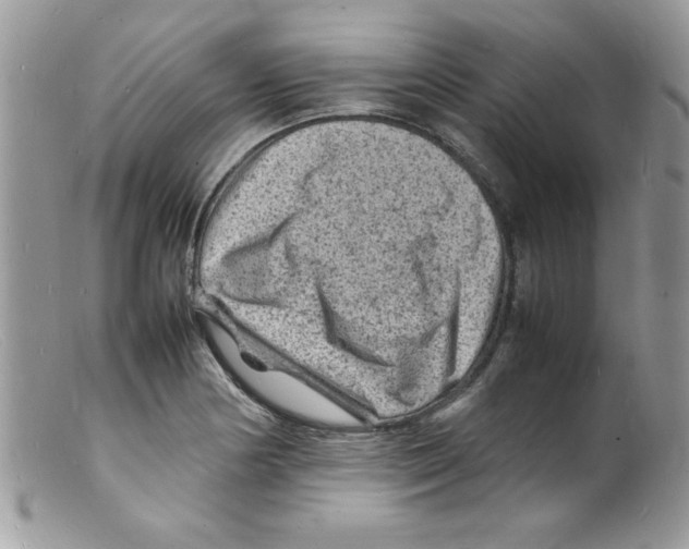 X0000098161178200805151222