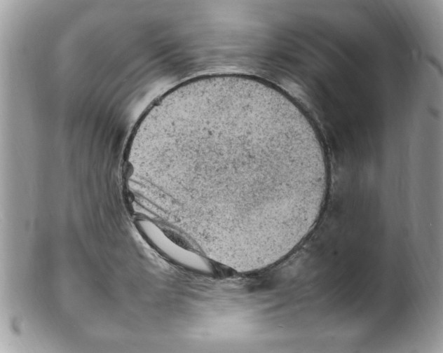 X0000098161181200805151222