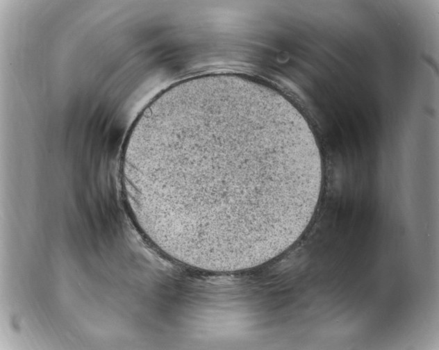 X0000098161182200805151222