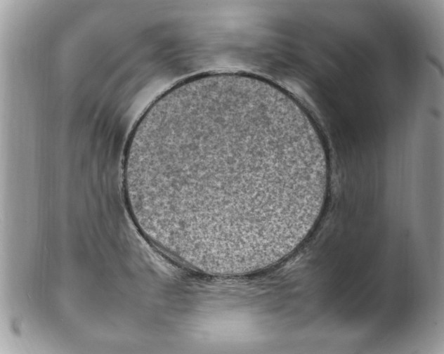 X0000098161183200805151222