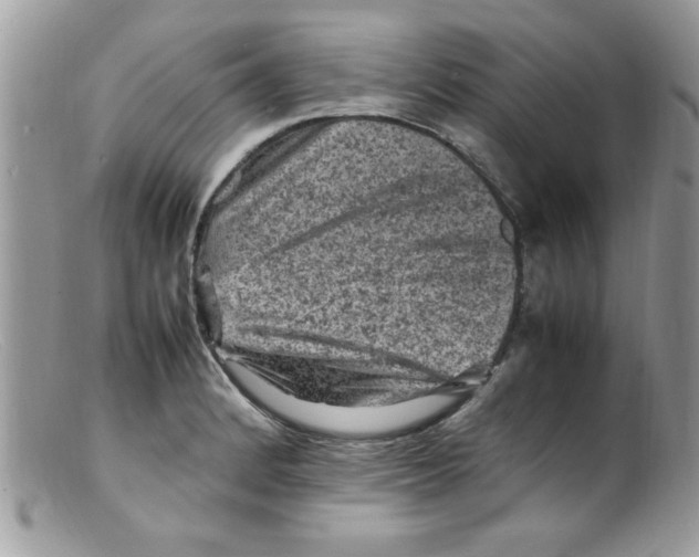 X0000098161184200805151222