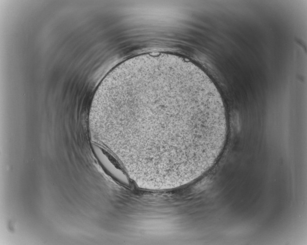 X0000098161185200805151222