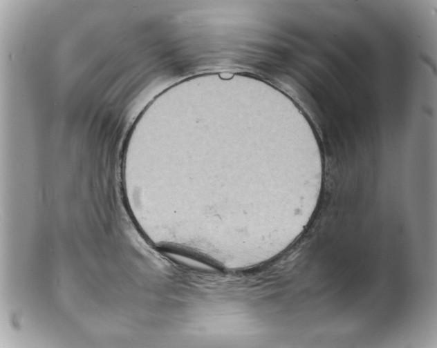 X0000098161187200805151222