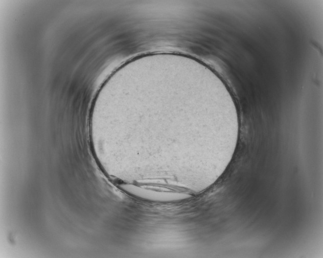 X0000098161191200805151221