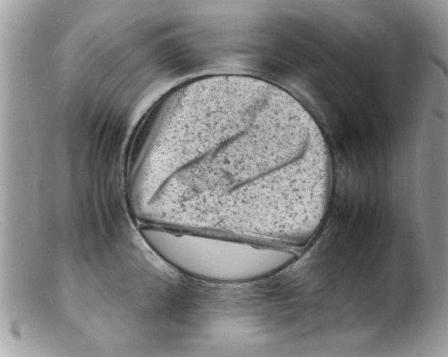 X0000098161192200805151221
