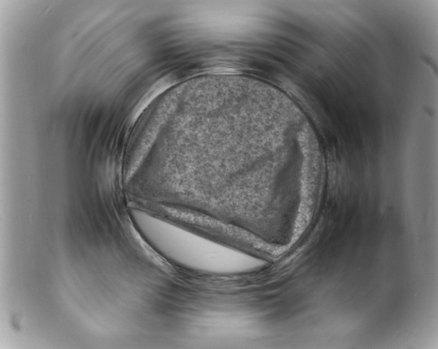 X0000098161194200805151221