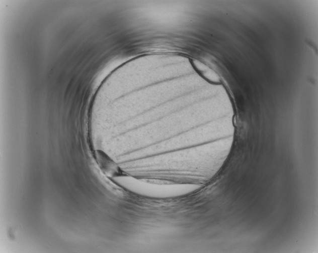 X0000098161195200805151221