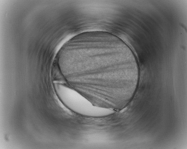 X0000098161197200805151221