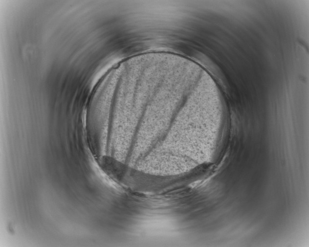 X0000098161198200805151221