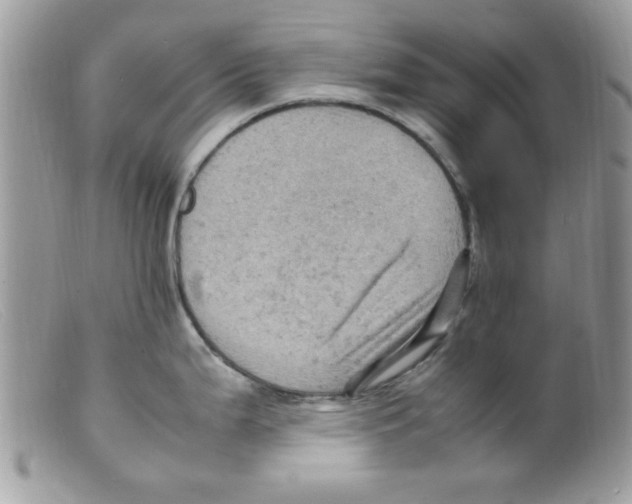X0000098161199200805151221