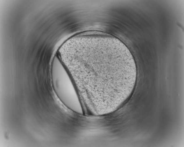 X0000098161200200805151221