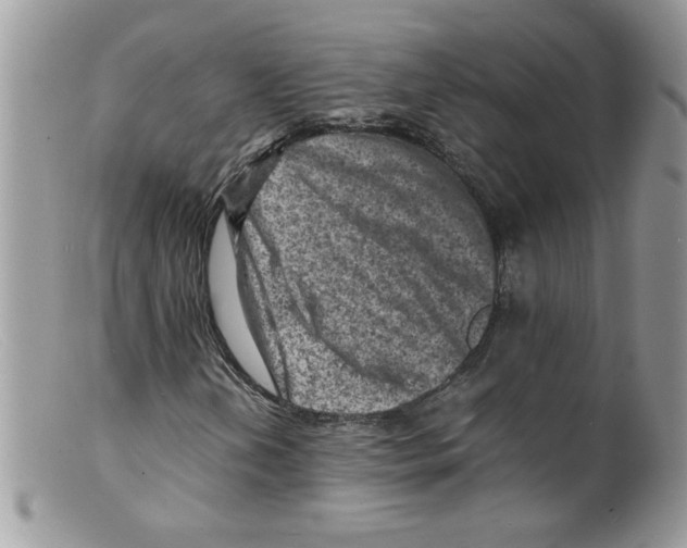 X0000098161202200805151221