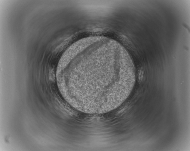 X0000098161204200805151221