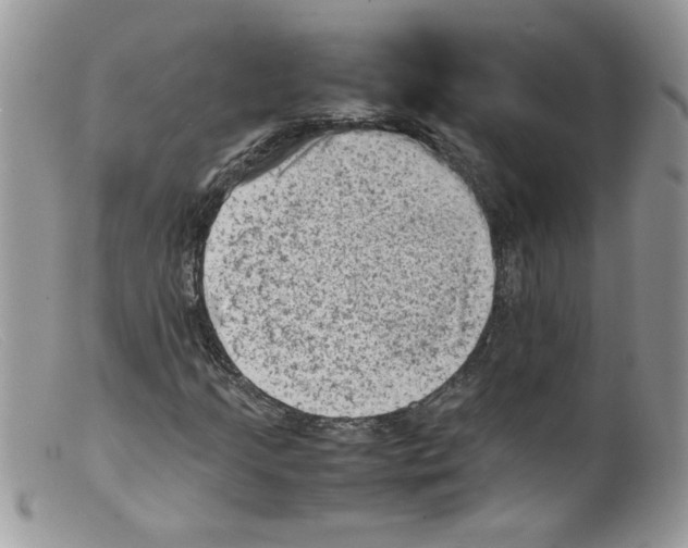 X0000098161205200805151221