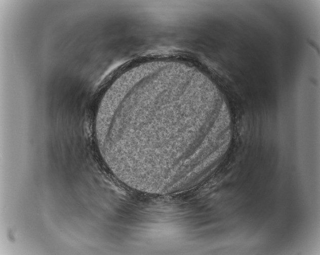 X0000098161206200805151221