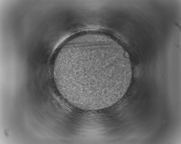 X0000098161208200805151221