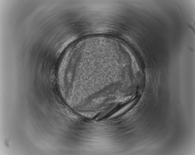 X0000098161210200805151221