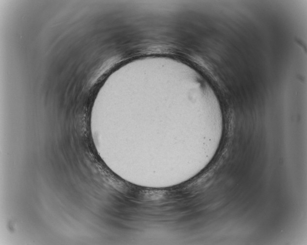 X0000098161211200805151221