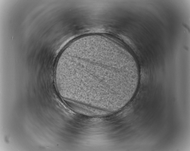 X0000098161212200805151221