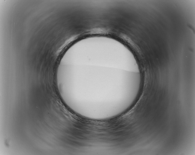 X0000098161213200805151221