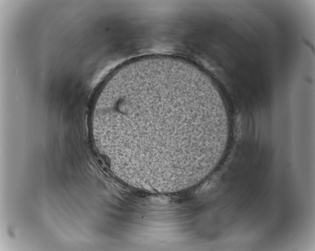 X0000098161214200805151221