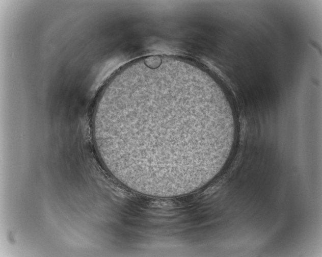 X0000098161215200805151221