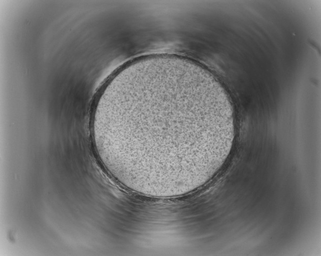 X0000098161216200805151221