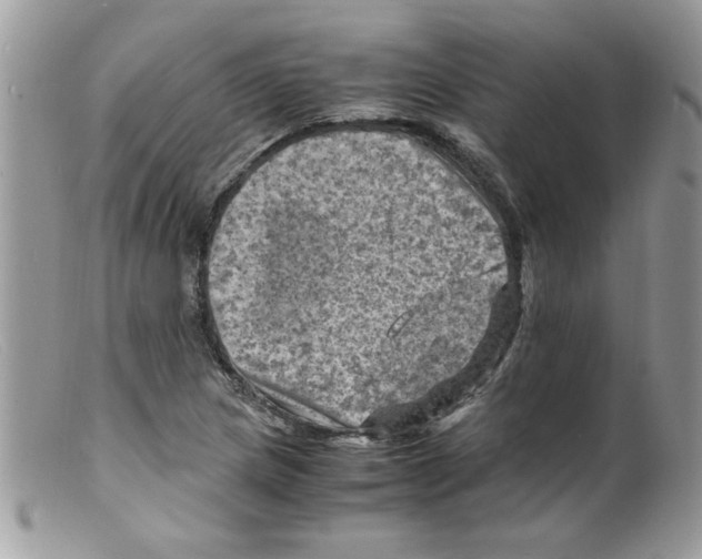 X0000098161217200805151221
