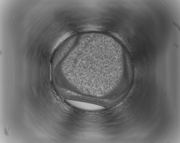 X0000098161219200805151221
