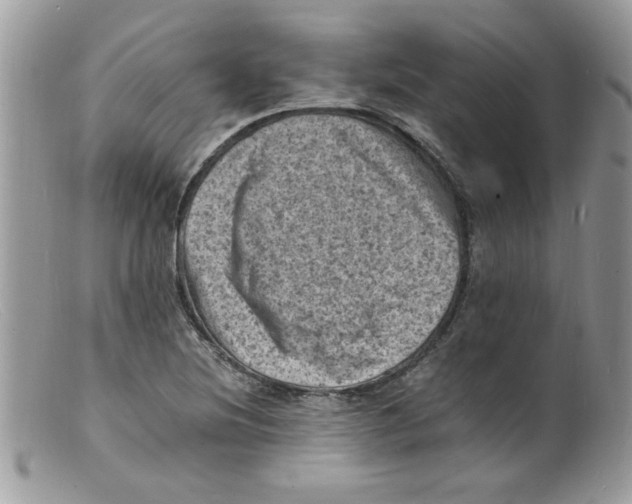 X0000098161220200805151221