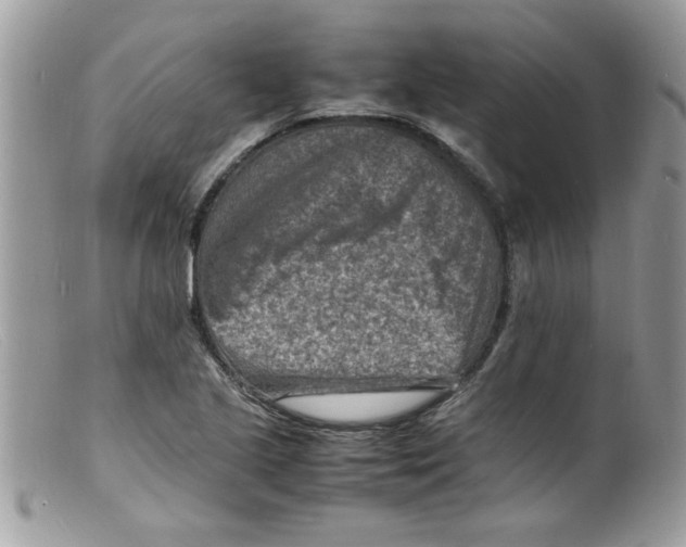 X0000098161221200805151221