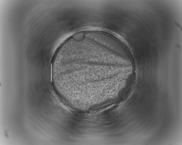 X0000098161223200805151221