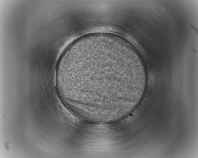 X0000098161224200805151221