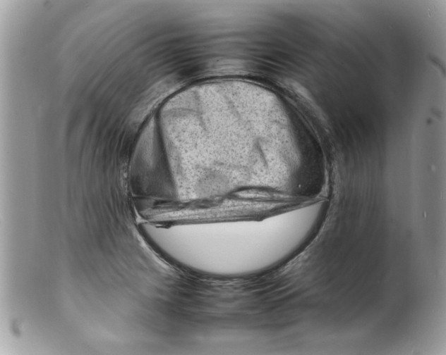 X0000098161225200805151221