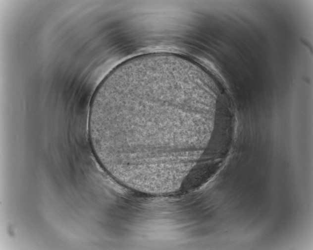 X0000098161228200805151221