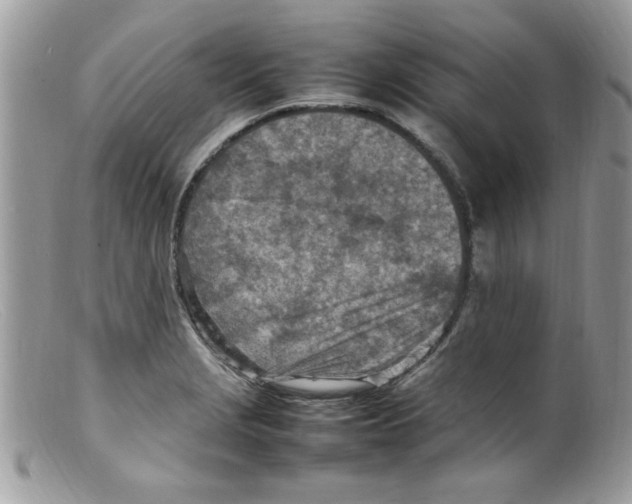 X0000098161229200805151221