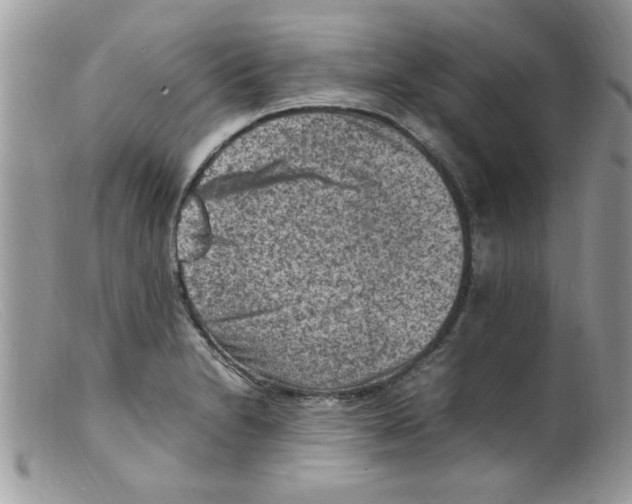 X0000098161230200805151221