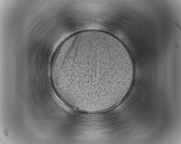 X0000098161232200805151221