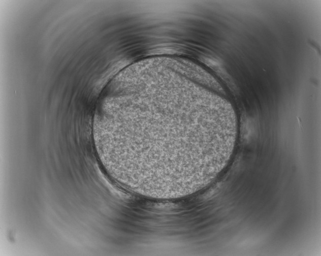 X0000098161233200805151221