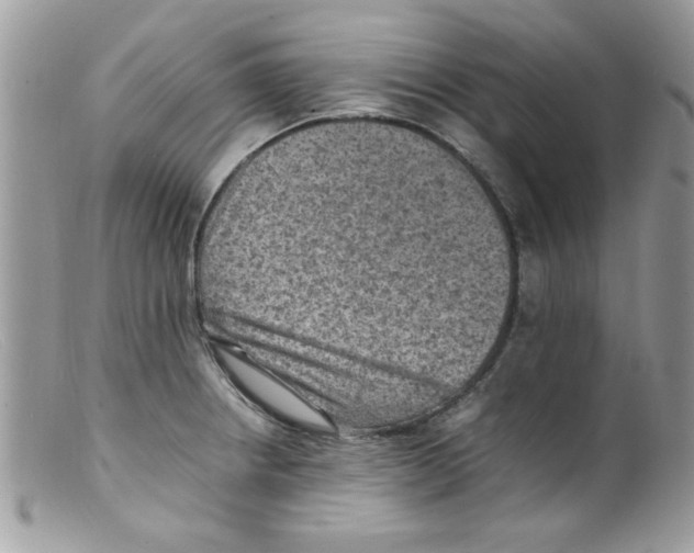 X0000098161234200805151221