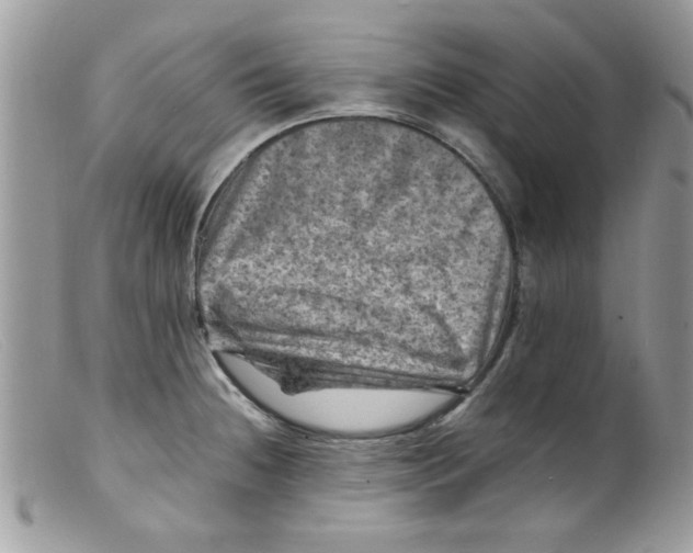 X0000098161236200805151221