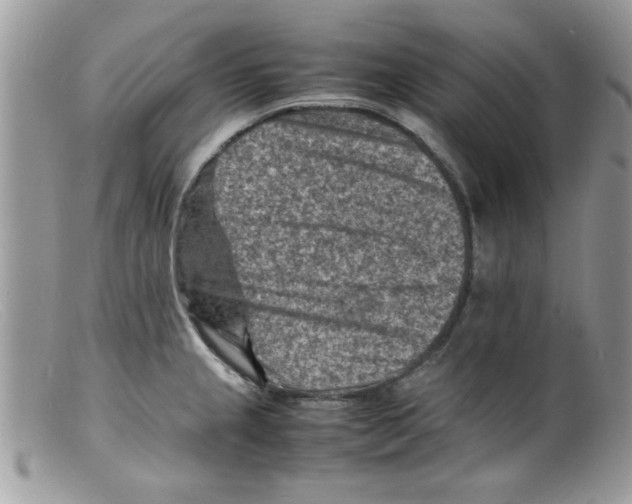 X0000098161237200805151221