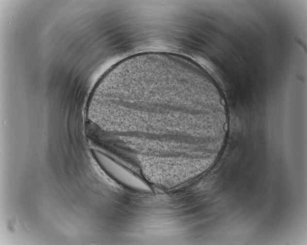 X0000098161238200805151221