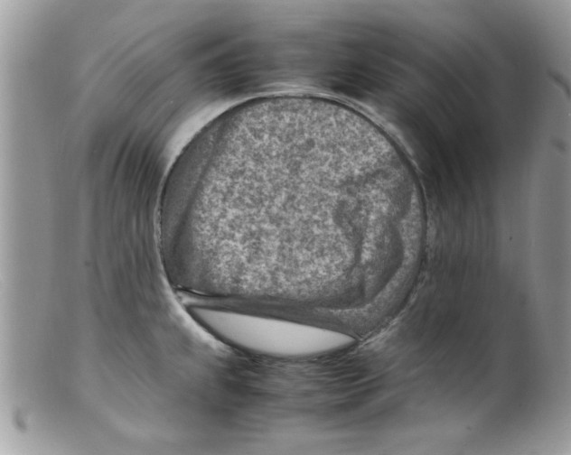 X0000098161239200805151221