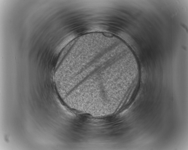 X0000098161241200805151221
