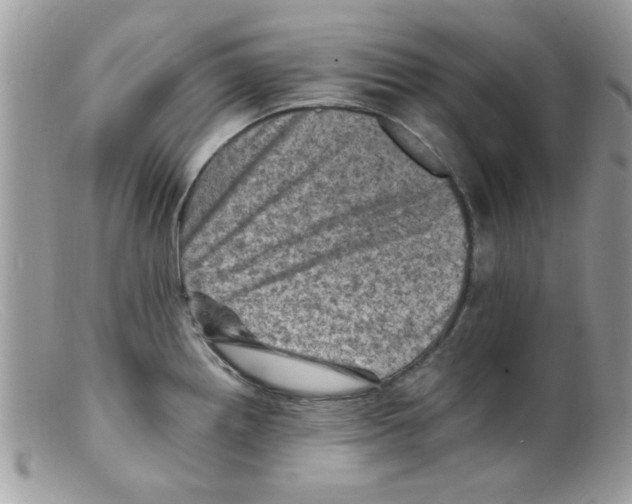 X0000098161242200805151221