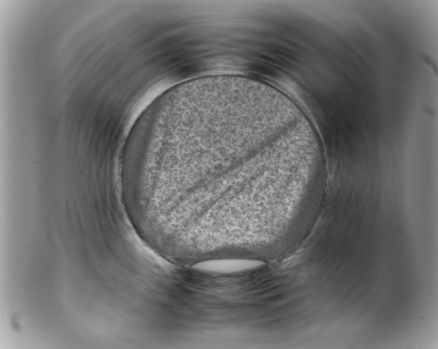 X0000098161243200805151221