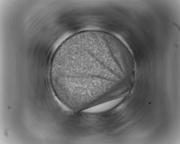 X0000098161245200805151221