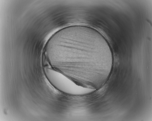 X0000098161246200805151221